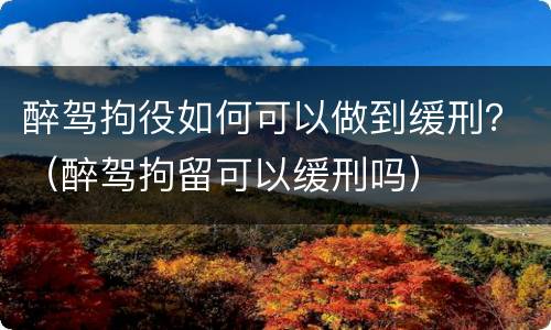 醉驾拘役如何可以做到缓刑？（醉驾拘留可以缓刑吗）