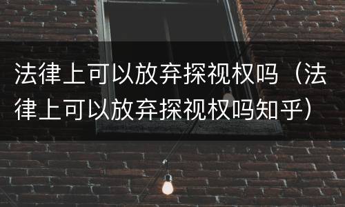 法律上可以放弃探视权吗（法律上可以放弃探视权吗知乎）