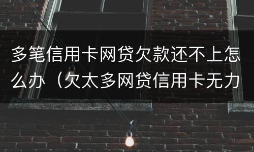多笔信用卡网贷欠款还不上怎么办（欠太多网贷信用卡无力偿还）