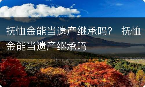 抚恤金能当遗产继承吗？ 抚恤金能当遗产继承吗