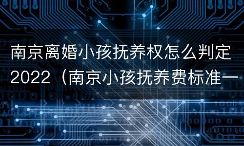 南京离婚小孩抚养权怎么判定2022（南京小孩抚养费标准一月多少钱）
