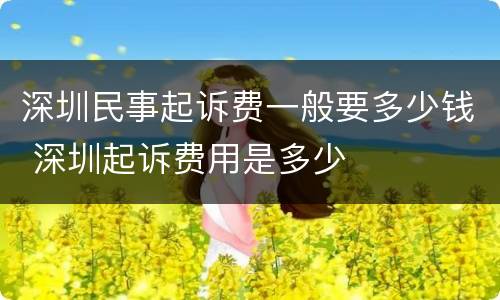深圳民事起诉费一般要多少钱 深圳起诉费用是多少