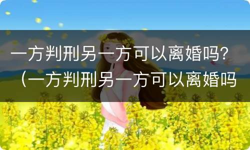 一方判刑另一方可以离婚吗？（一方判刑另一方可以离婚吗知乎）