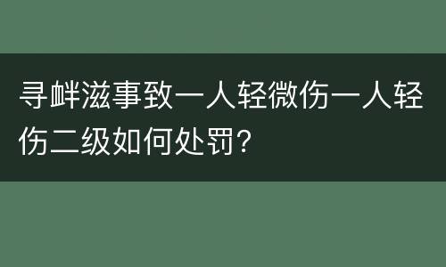 寻衅滋事致一人轻微伤一人轻伤二级如何处罚？