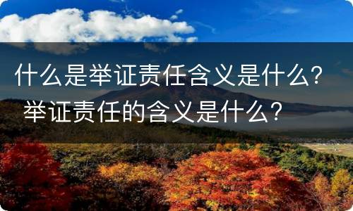 什么是举证责任含义是什么？ 举证责任的含义是什么?