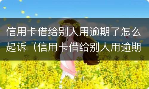 信用卡借给别人用逾期了怎么起诉（信用卡借给别人用逾期了怎么起诉他）