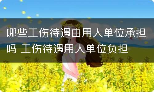 哪些工伤待遇由用人单位承担吗 工伤待遇用人单位负担