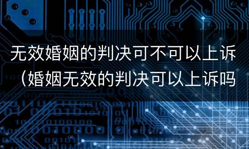 无效婚姻的判决可不可以上诉（婚姻无效的判决可以上诉吗）