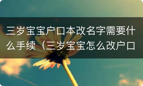 三岁宝宝户口本改名字需要什么手续（三岁宝宝怎么改户口名字）