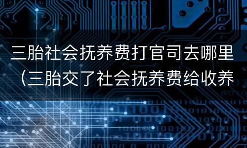 三胎社会抚养费打官司去哪里（三胎交了社会抚养费给收养吗）