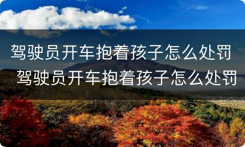 驾驶员开车抱着孩子怎么处罚 驾驶员开车抱着孩子怎么处罚的