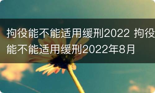 拘役能不能适用缓刑2022 拘役能不能适用缓刑2022年8月