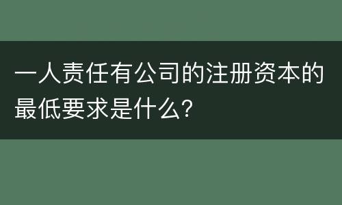 一人责任有公司的注册资本的最低要求是什么？