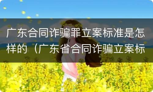 广东合同诈骗罪立案标准是怎样的（广东省合同诈骗立案标准）