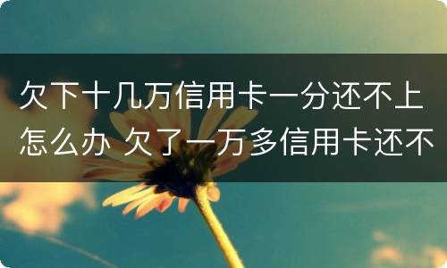 欠下十几万信用卡一分还不上怎么办 欠了一万多信用卡还不上怎么办