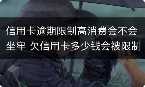 信用卡逾期限制高消费会不会坐牢 欠信用卡多少钱会被限制消费