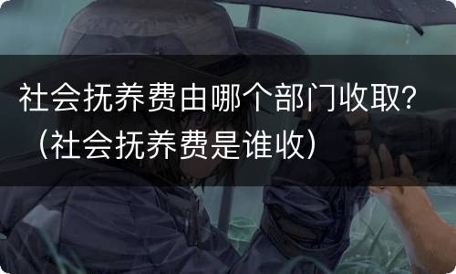 社会抚养费由哪个部门收取？（社会抚养费是谁收）
