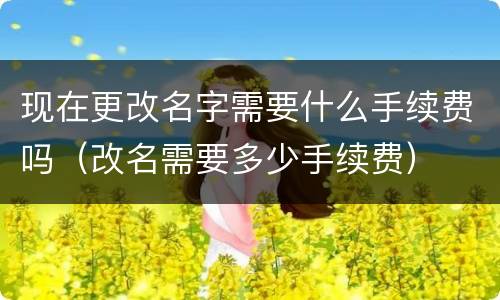 现在更改名字需要什么手续费吗（改名需要多少手续费）