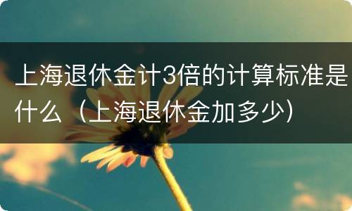上海退休金计3倍的计算标准是什么（上海退休金加多少）