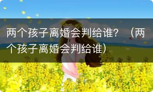 两个孩子离婚会判给谁？（两个孩子离婚会判给谁）