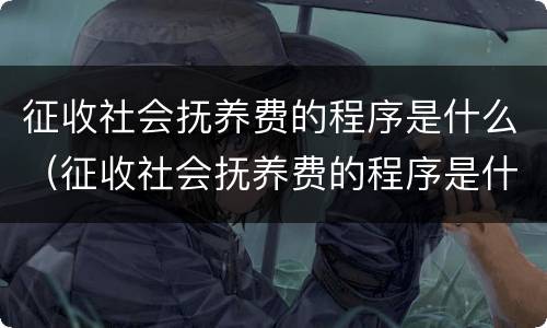 征收社会抚养费的程序是什么（征收社会抚养费的程序是什么呢）