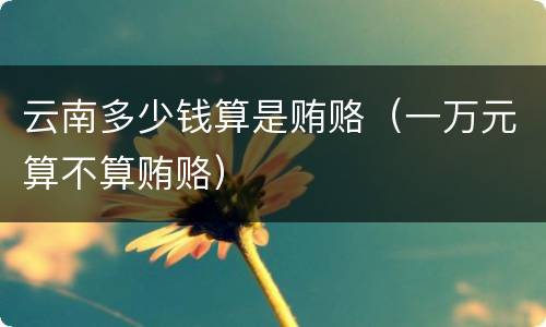 云南多少钱算是贿赂（一万元算不算贿赂）