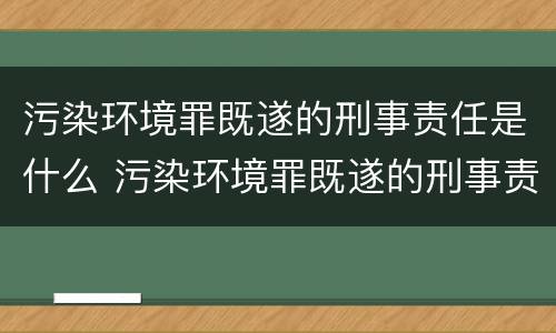 污染环境罪既遂的刑事责任是什么 污染环境罪既遂的刑事责任是什么意思