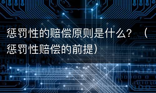 惩罚性的赔偿原则是什么？（惩罚性赔偿的前提）