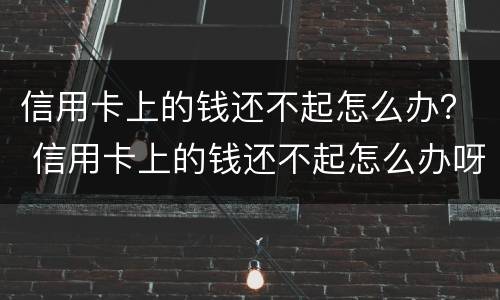 信用卡上的钱还不起怎么办？ 信用卡上的钱还不起怎么办呀