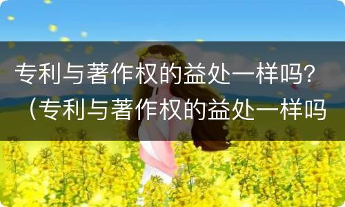 专利与著作权的益处一样吗？（专利与著作权的益处一样吗）