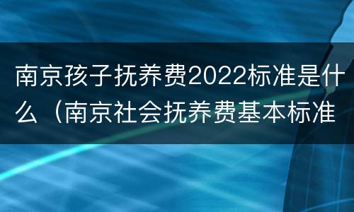 南京孩子抚养费2022标准是什么（南京社会抚养费基本标准）