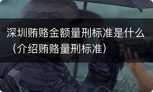 深圳贿赂金额量刑标准是什么（介绍贿赂量刑标准）
