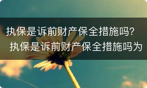 执保是诉前财产保全措施吗？ 执保是诉前财产保全措施吗为什么