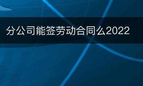 分公司能签劳动合同么2022