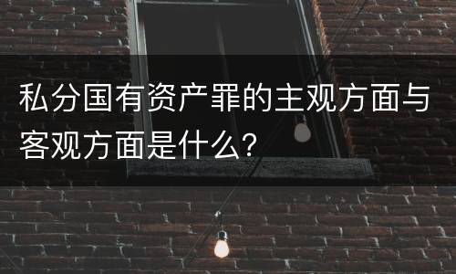 私分国有资产罪的主观方面与客观方面是什么？