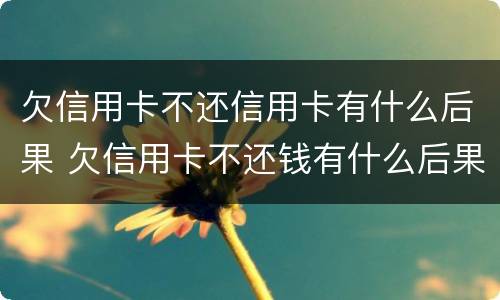 欠信用卡不还信用卡有什么后果 欠信用卡不还钱有什么后果是什么