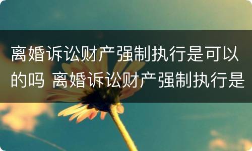 离婚诉讼财产强制执行是可以的吗 离婚诉讼财产强制执行是可以的吗怎么办