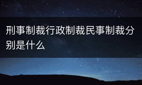 刑事制裁行政制裁民事制裁分别是什么