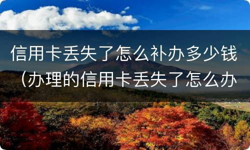 信用卡丢失了怎么补办多少钱（办理的信用卡丢失了怎么办）