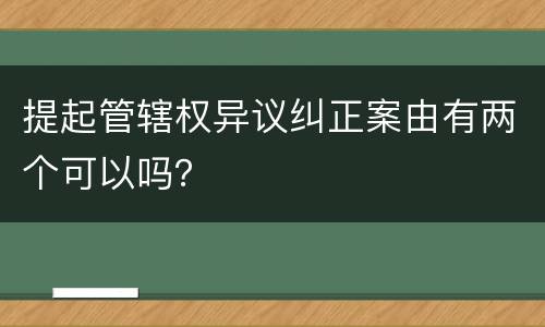 提起管辖权异议纠正案由有两个可以吗？