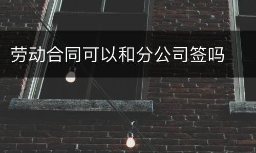 劳动合同可以和分公司签吗
