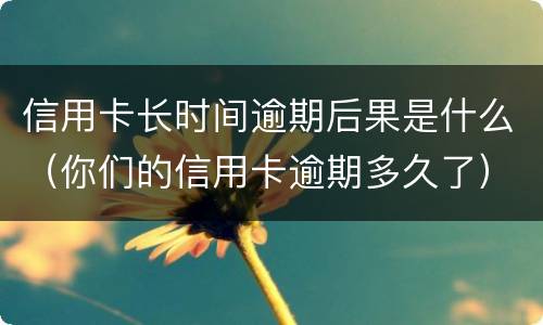 信用卡长时间逾期后果是什么（你们的信用卡逾期多久了）