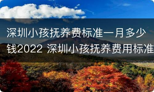 深圳小孩抚养费标准一月多少钱2022 深圳小孩抚养费用标准