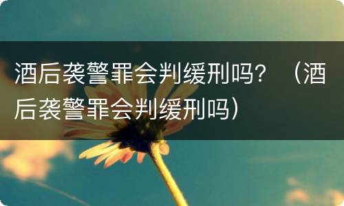 酒后袭警罪会判缓刑吗？（酒后袭警罪会判缓刑吗）