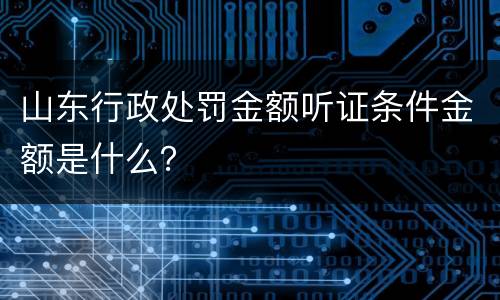山东行政处罚金额听证条件金额是什么？