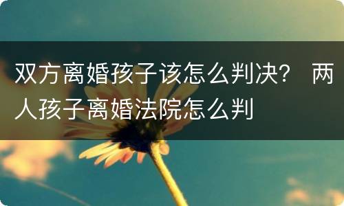 双方离婚孩子该怎么判决？ 两人孩子离婚法院怎么判