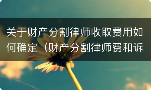 关于财产分割律师收取费用如何确定（财产分割律师费和诉讼费）
