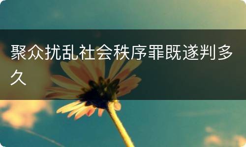 聚众扰乱社会秩序罪既遂判多久