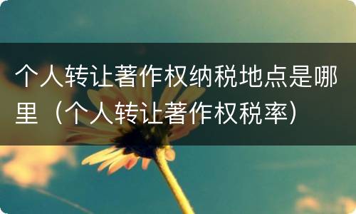 个人转让著作权纳税地点是哪里（个人转让著作权税率）
