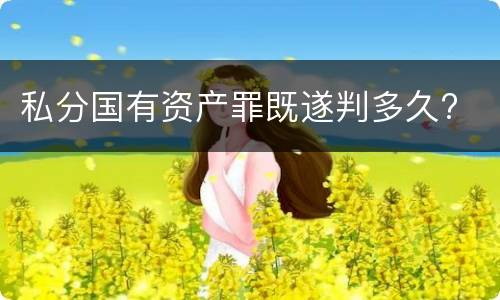 私分国有资产罪既遂判多久?